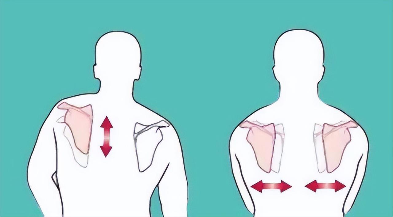 肩胛骨缝疼是怎么回事,肩胛骨缝疼处理方法