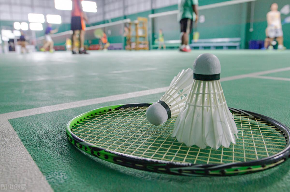 羽毛球拍哪个牌子最好用,国产羽毛球拍十大品牌