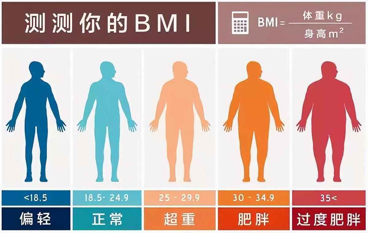 男性腰围正常值是多少,男女不同年龄段标准腰围