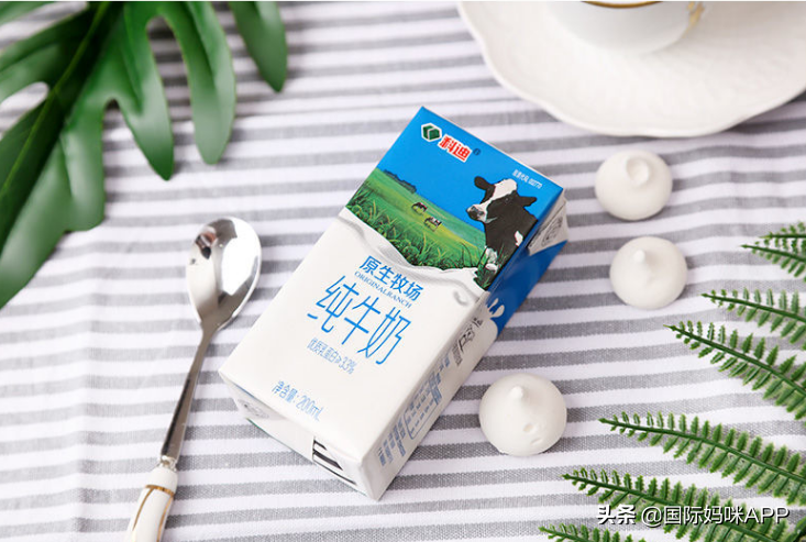 最好的纯牛奶品牌排行榜,十大好口碑小众纯牛奶