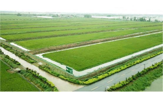 农业养殖致富水产项目,五个效益最好的水产养殖项目推荐