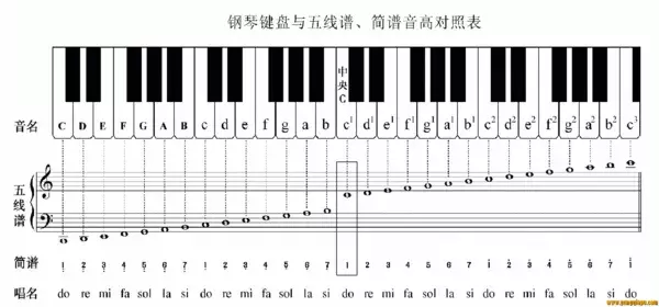 钢琴电子琴1234567指法图,新手最值收藏的电子琴指法图