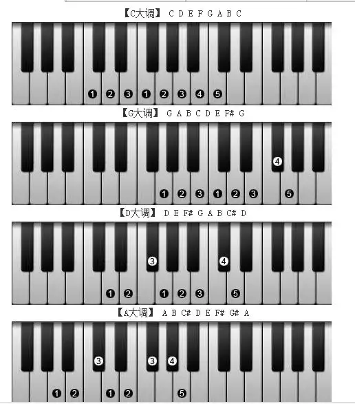 钢琴电子琴1234567指法图,新手最值收藏的电子琴指法图