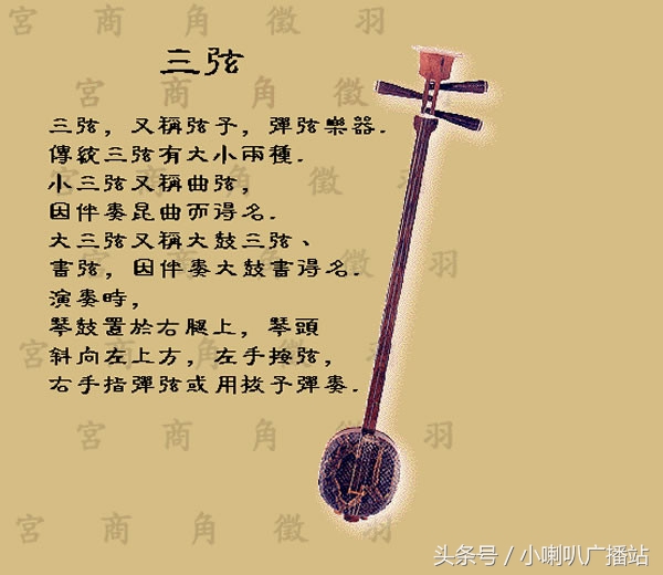 中国乐器大全及图片介绍,全程图解中国乐器品类