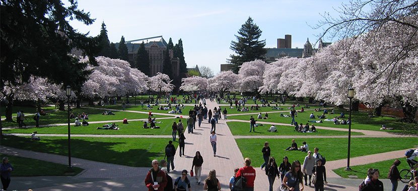 美国西雅图大学世界排名,华盛顿西雅图跻身世界前十