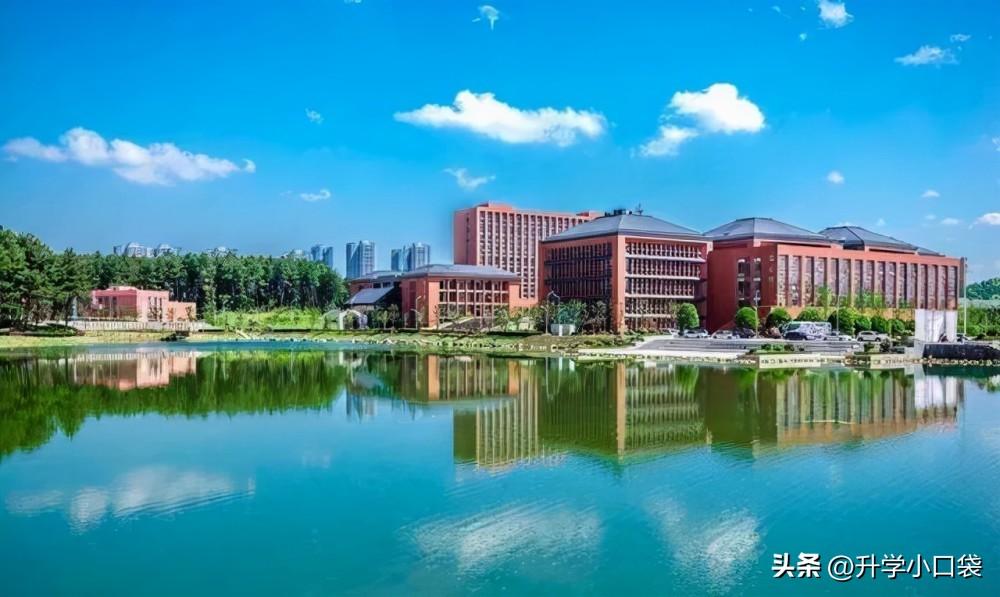 贵州大学排名前十的学校,贵州25所高校最新排行情况