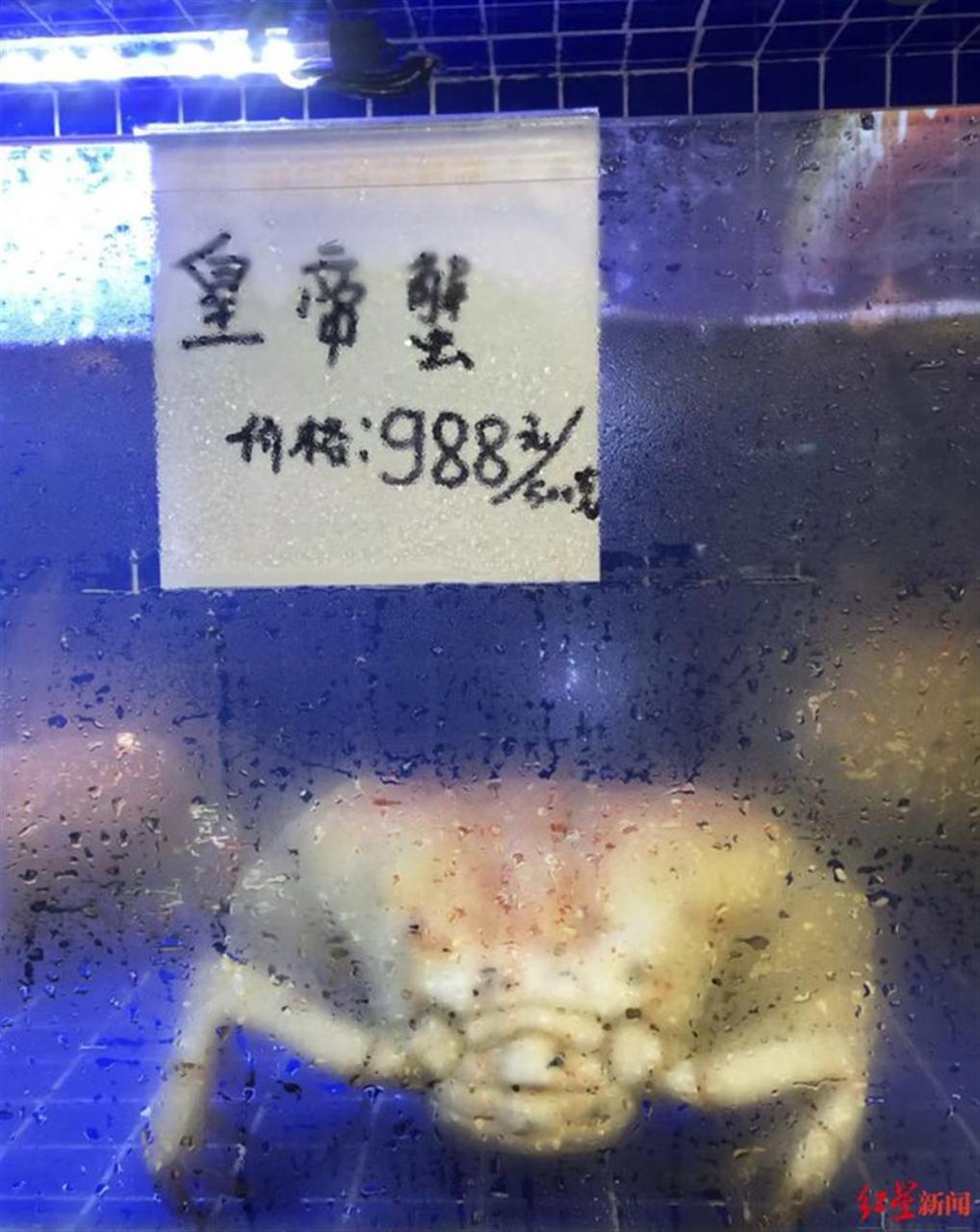 2023帝王蟹多少钱一斤市场价,帝王蟹的最佳吃法