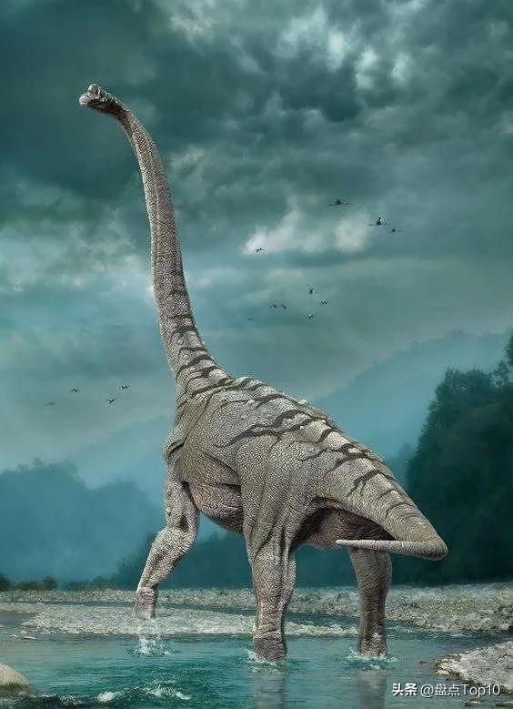 恐龙体型大小排名,体型最大的恐龙TOP10