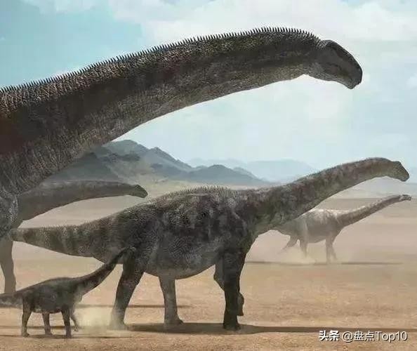 恐龙体型大小排名,体型最大的恐龙TOP10